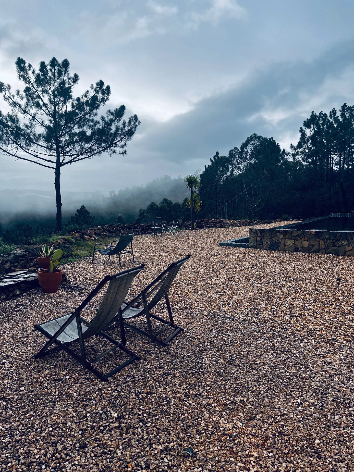 MONTE CUCS EASY CHAIR