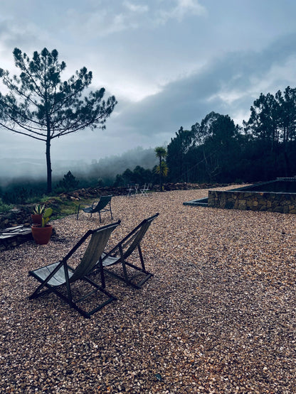 MONTE CUCS EASY CHAIR